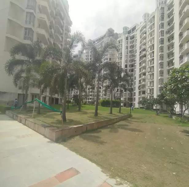  planet Landscape Garden and Tree Planting