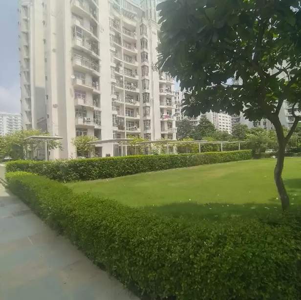  planet Landscape Garden and Tree Planting