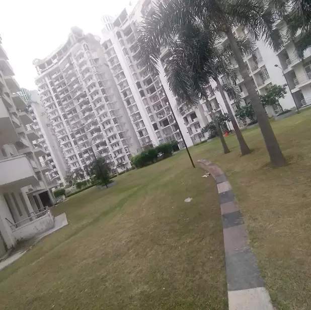  planet Landscape Garden and Tree Planting