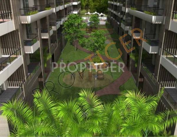 Images for Elevation of Okay Plus Exotica Images for Elevation of Okay Plus Exotica