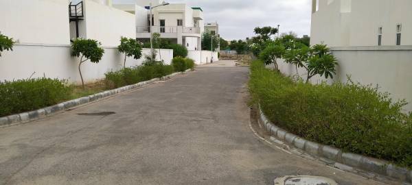 Internal Roads exotica Internal Roads