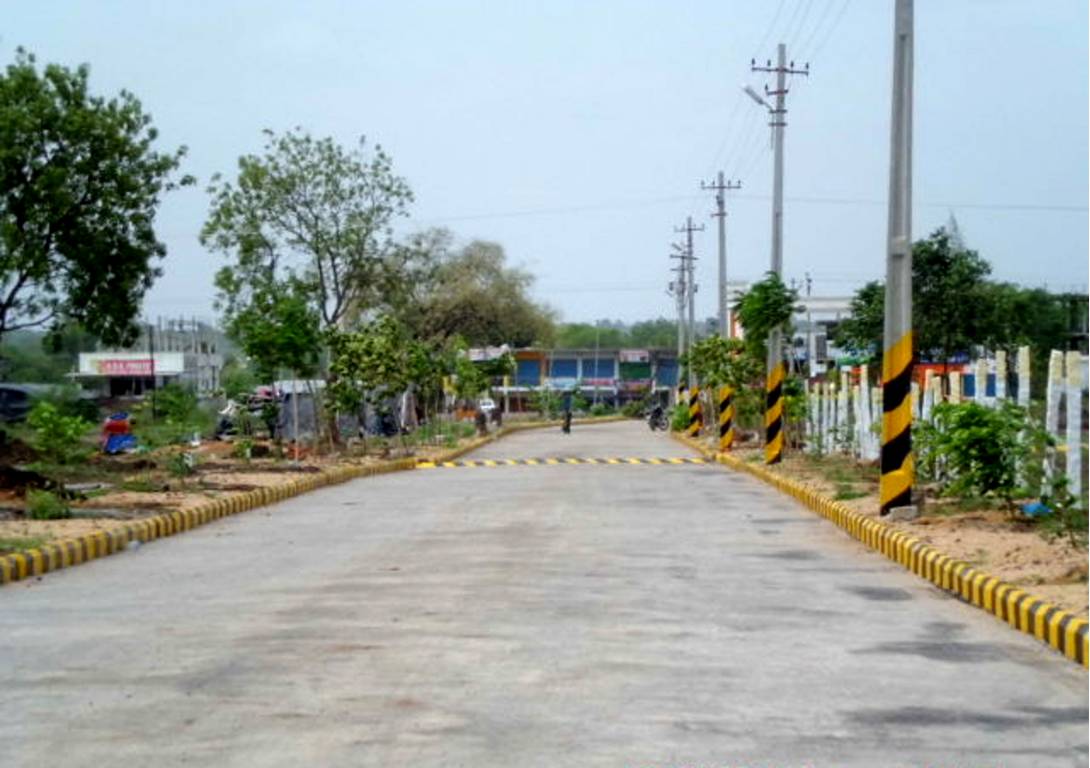 Images for Main Other of Vishnu Orange Meadows