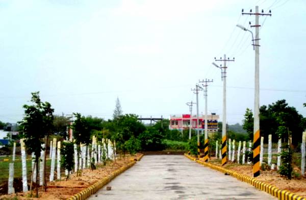 Images for Main Other of Vishnu Orange Meadows Images for Main Other of Vishnu Orange Meadows