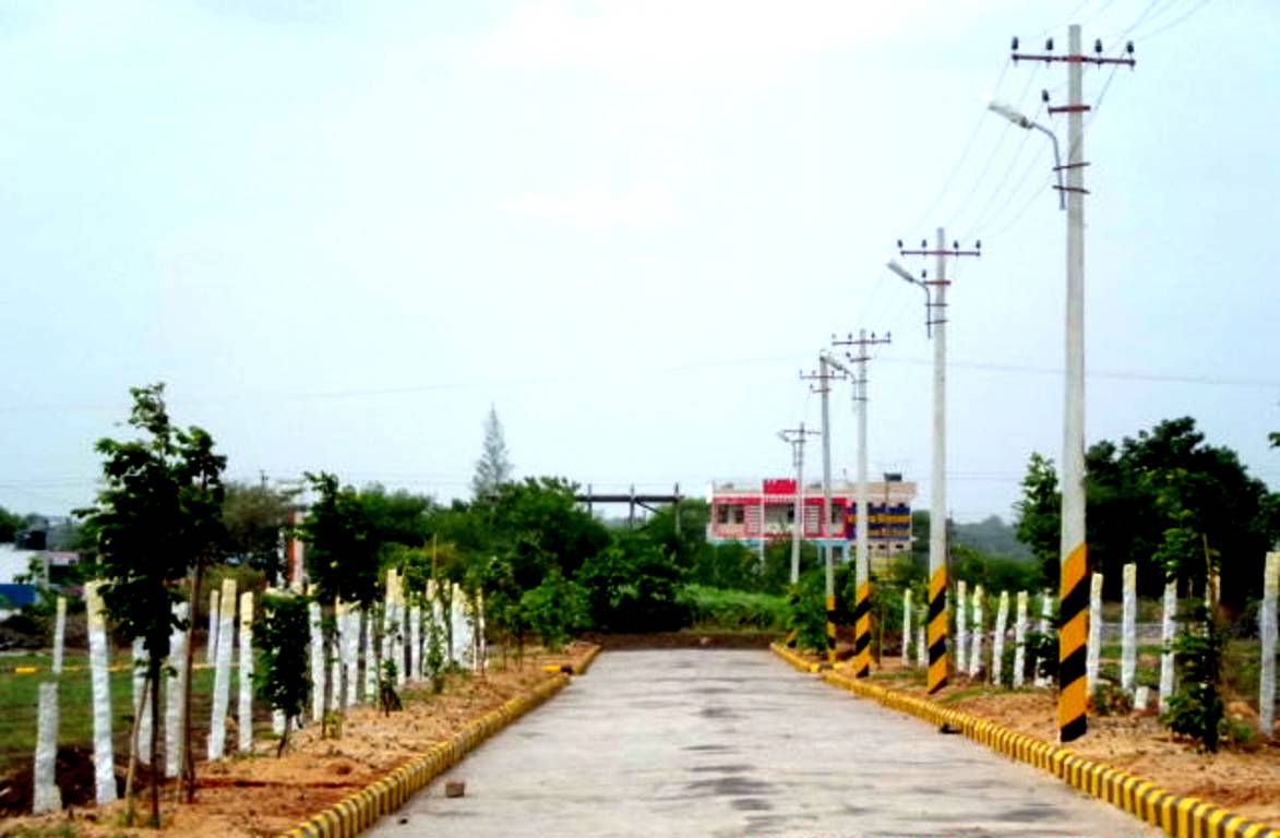 Images for Main Other of Vishnu Orange Meadows