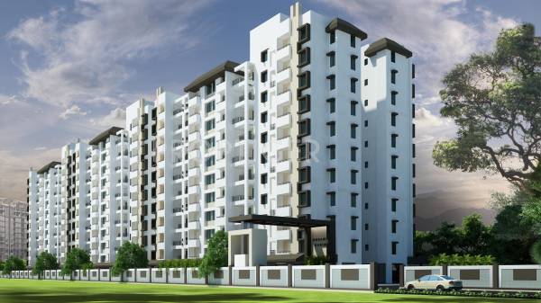 Images for Elevation of Dreams Ragini