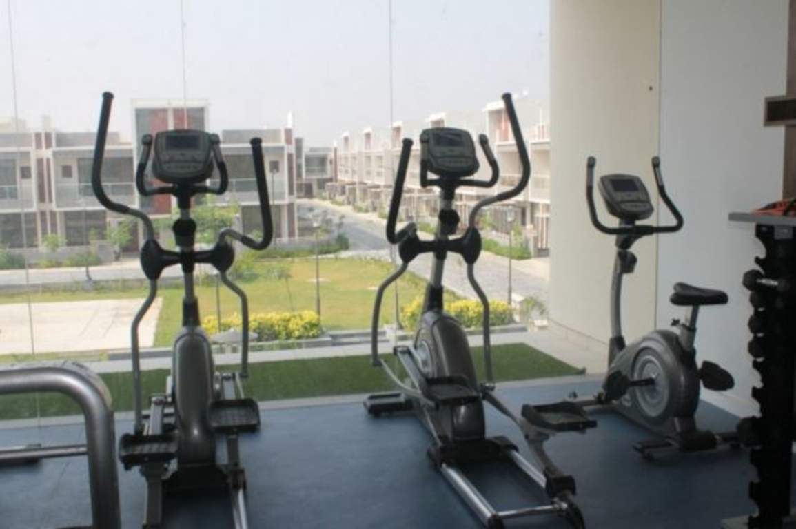  city ville Gymnasium