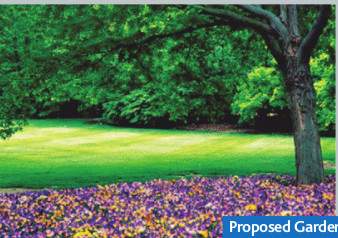  tdi city Landscaped Gardens