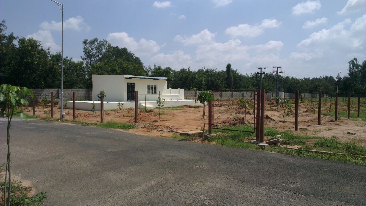 Images for Amenities of Blue North Town