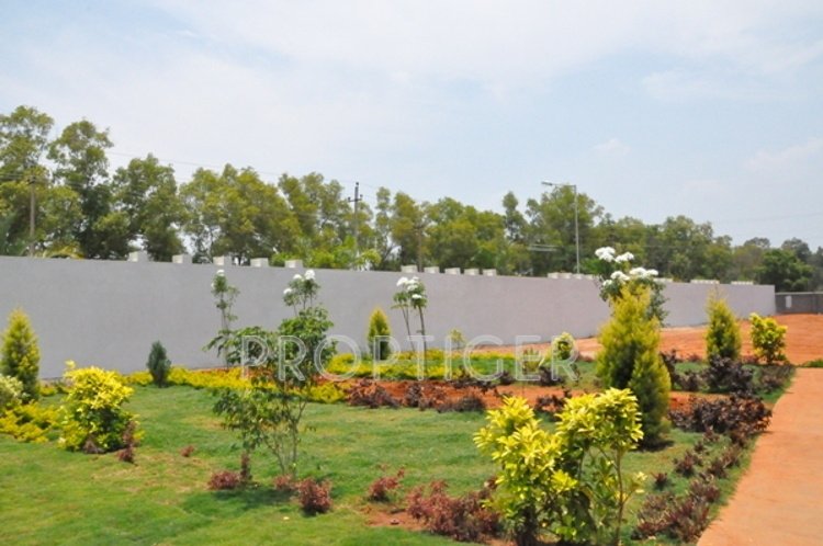 Images for Main Other of Blue North Town