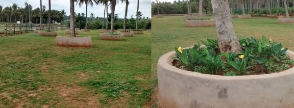  ardley-phase-1 Others