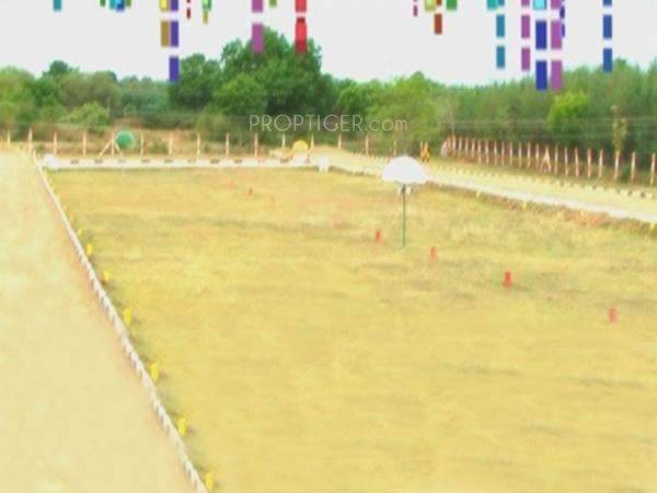 Images for Main Other of Dream Dream City