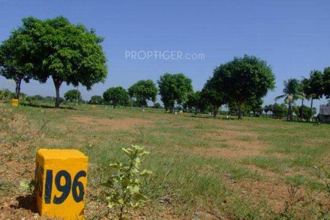 Images for Main Other of Dream Highway Golden City