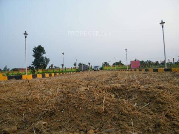 Images for Main Other of Dream Mega Dream City