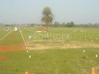 Project Image Project Image