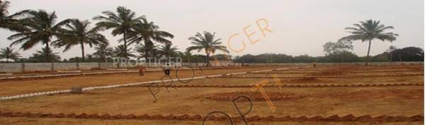 Images for Elevation of Dream Executive Avenue