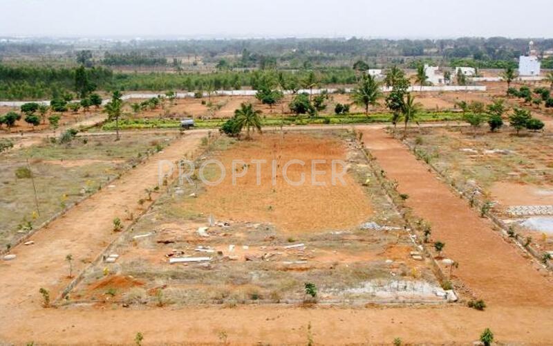 Images for Elevation of Dream Saroja Dream City