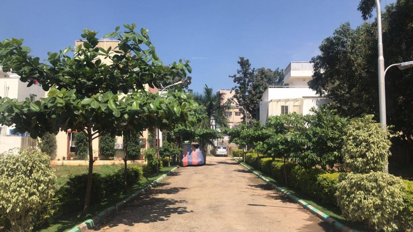  thumbprint Elevation