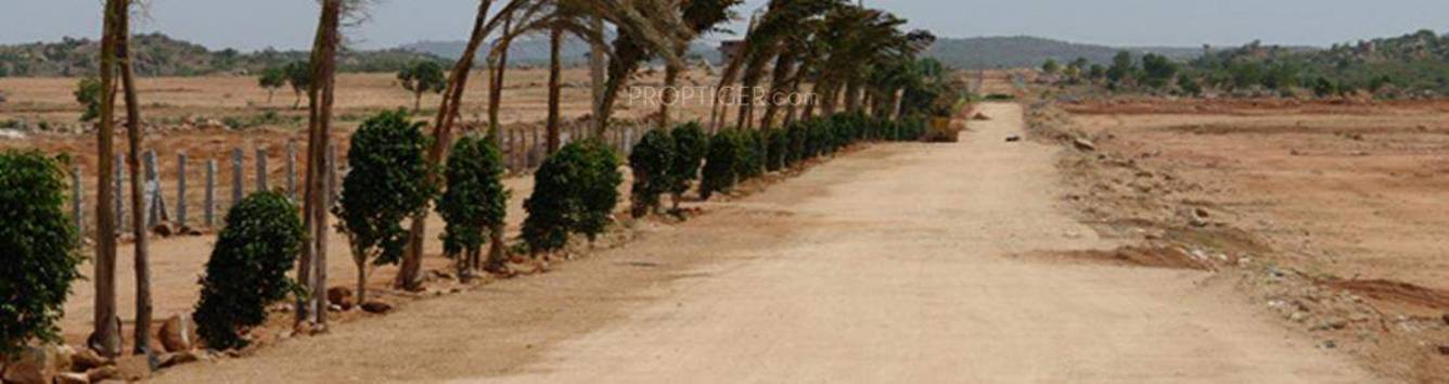 Images for Main Other of Vikhyath Haritha Vanam Phase IV