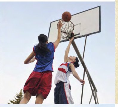  elysium Basketball Court