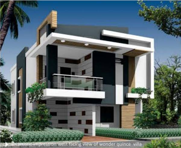 Images for Elevation of Wonder Quince