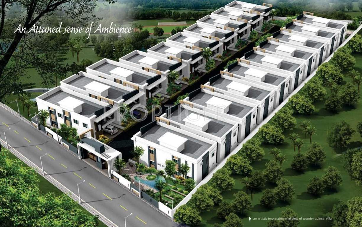 Images for Elevation of Wonder Quince