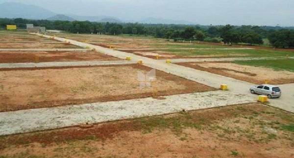 Elevation greencity Elevation