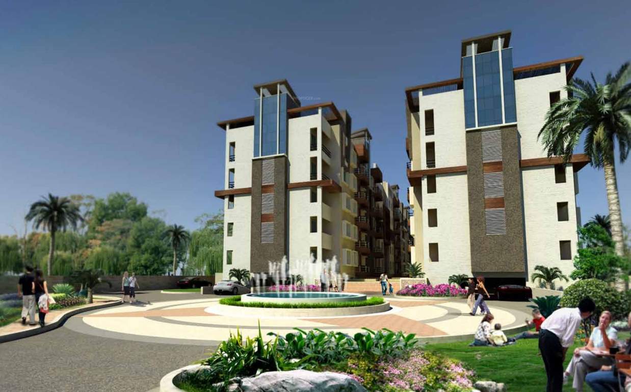  orchid Images for Elevation of Lifestyle Lifestyle Orchid