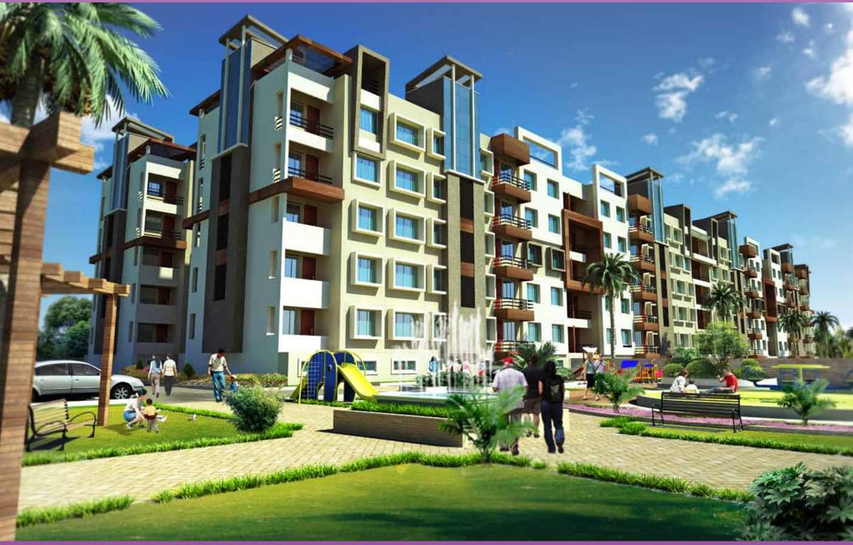  orchid Images for Elevation of Lifestyle Lifestyle Orchid