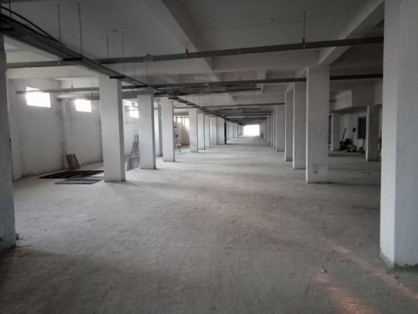 Car Parking orchid Car Parking