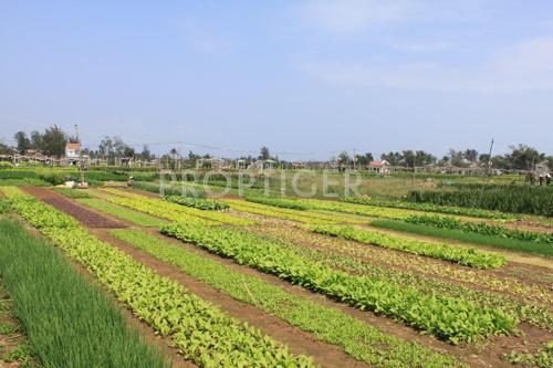 Images for Elevation of SRB Sri Jagannath Vihar V