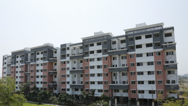 Elevation greens Elevation