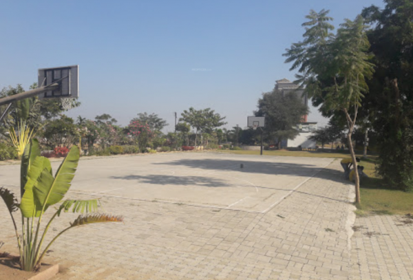 Others greens Others