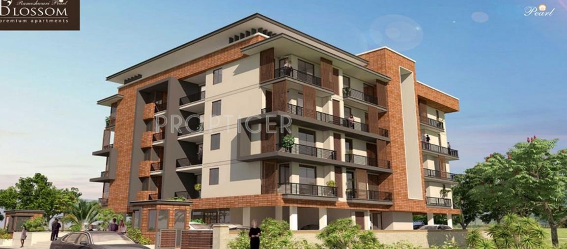 Images for Elevation of Pearl Blossom