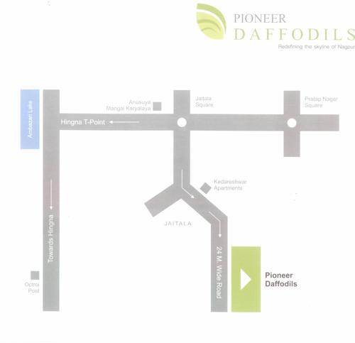  daffodils Images for Location Plan of Pioneer Daffodils