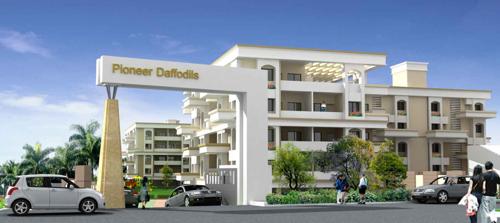  daffodils Images for Elevation of Pioneer Daffodils