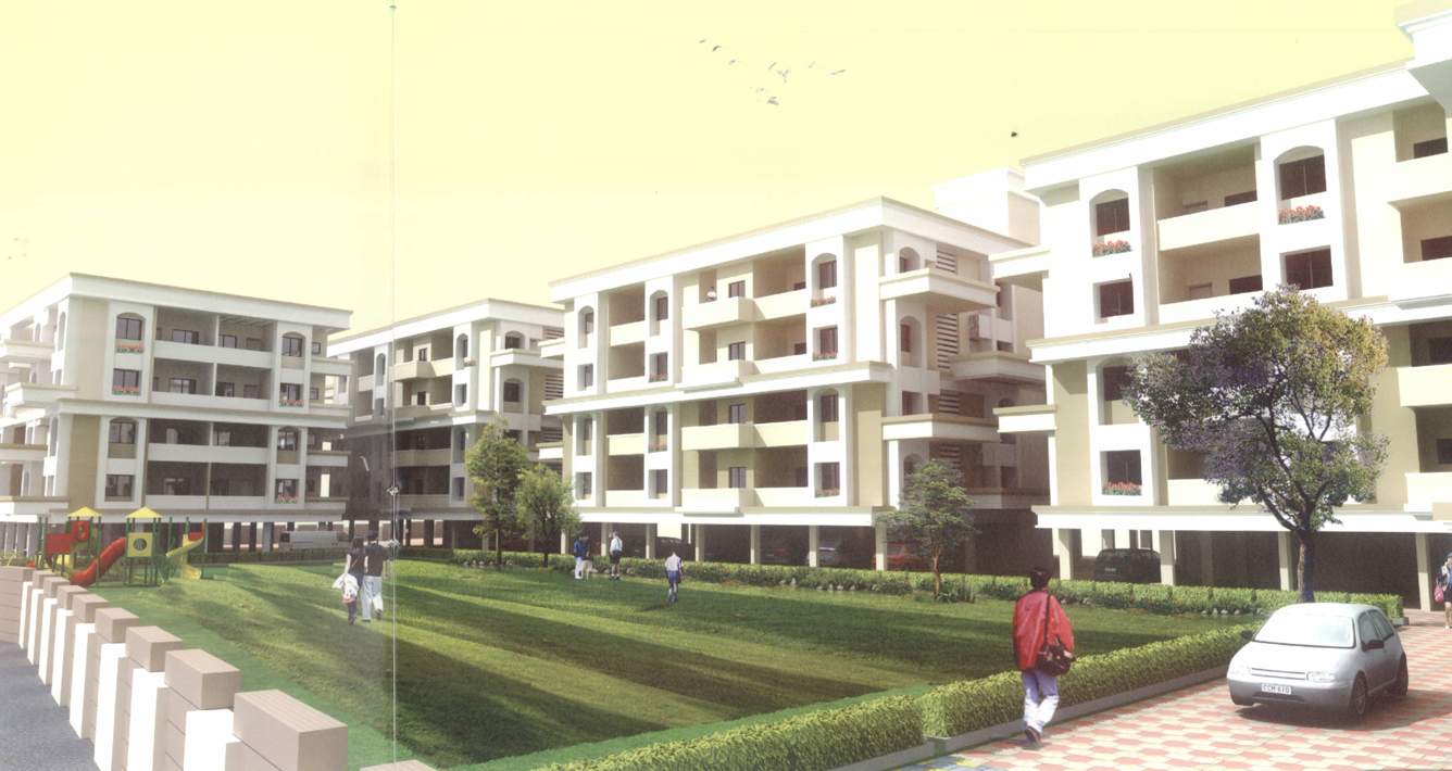 daffodils Images for Elevation of Pioneer Daffodils