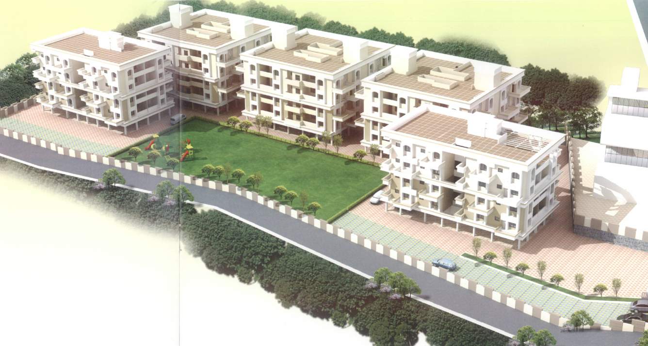 daffodils Images for Elevation of Pioneer Daffodils