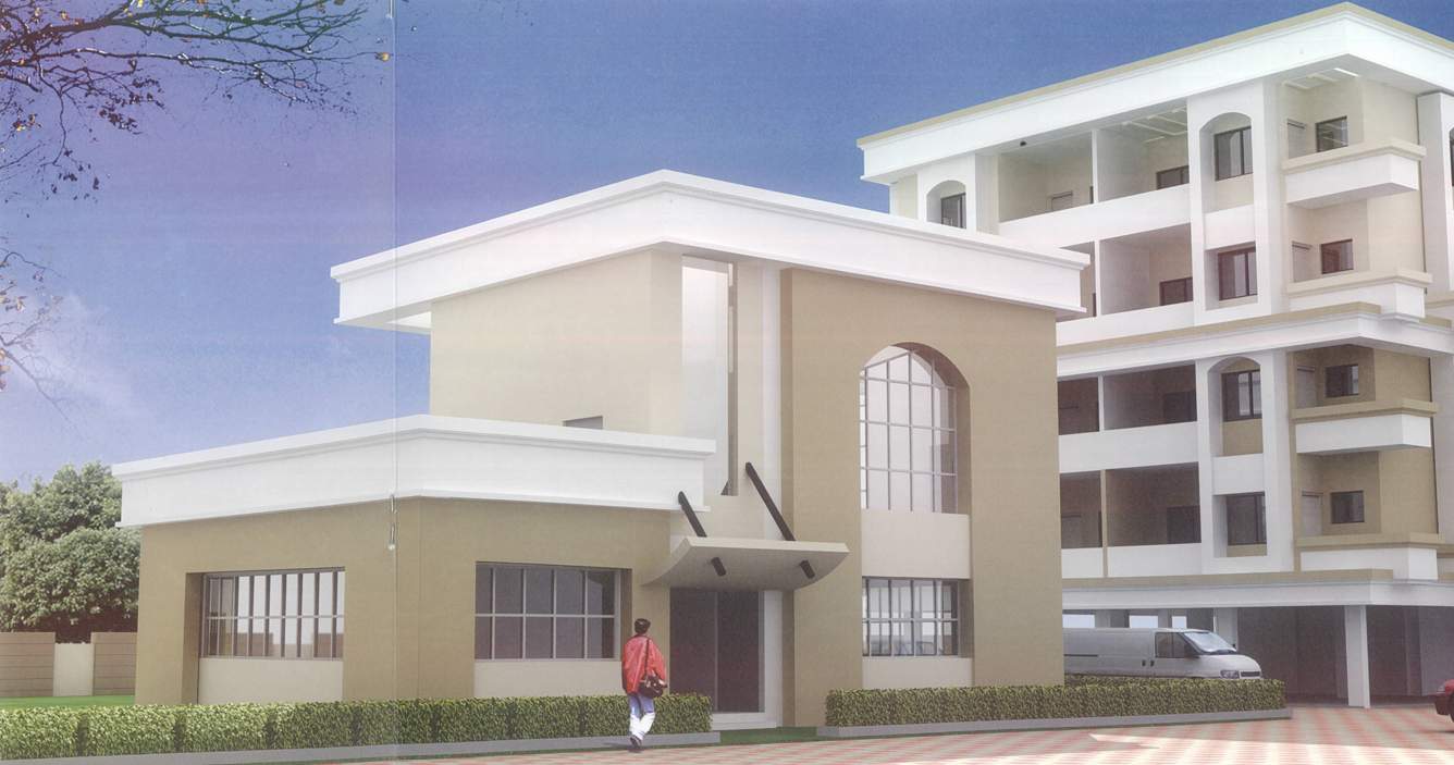 daffodils Images for Elevation of Pioneer Daffodils