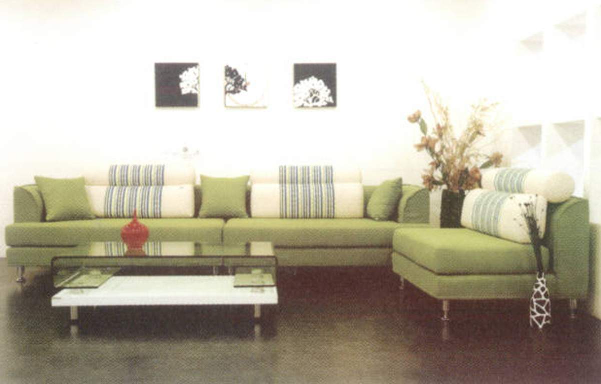 daffodils Images for Main Other of Pioneer Daffodils