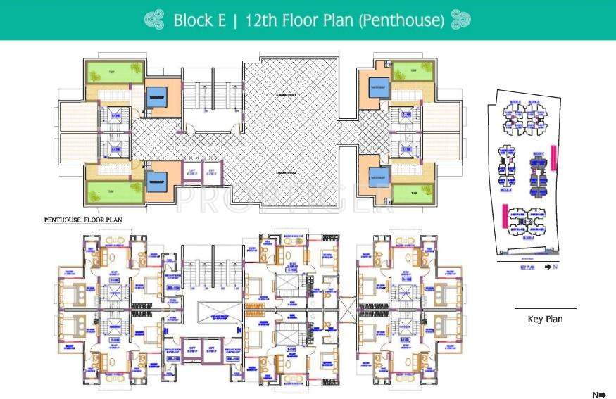 Images for Cluster Plan of Trimurty Ariana