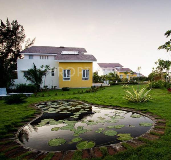 Images for Elevation of Sagas Group Belle Rive