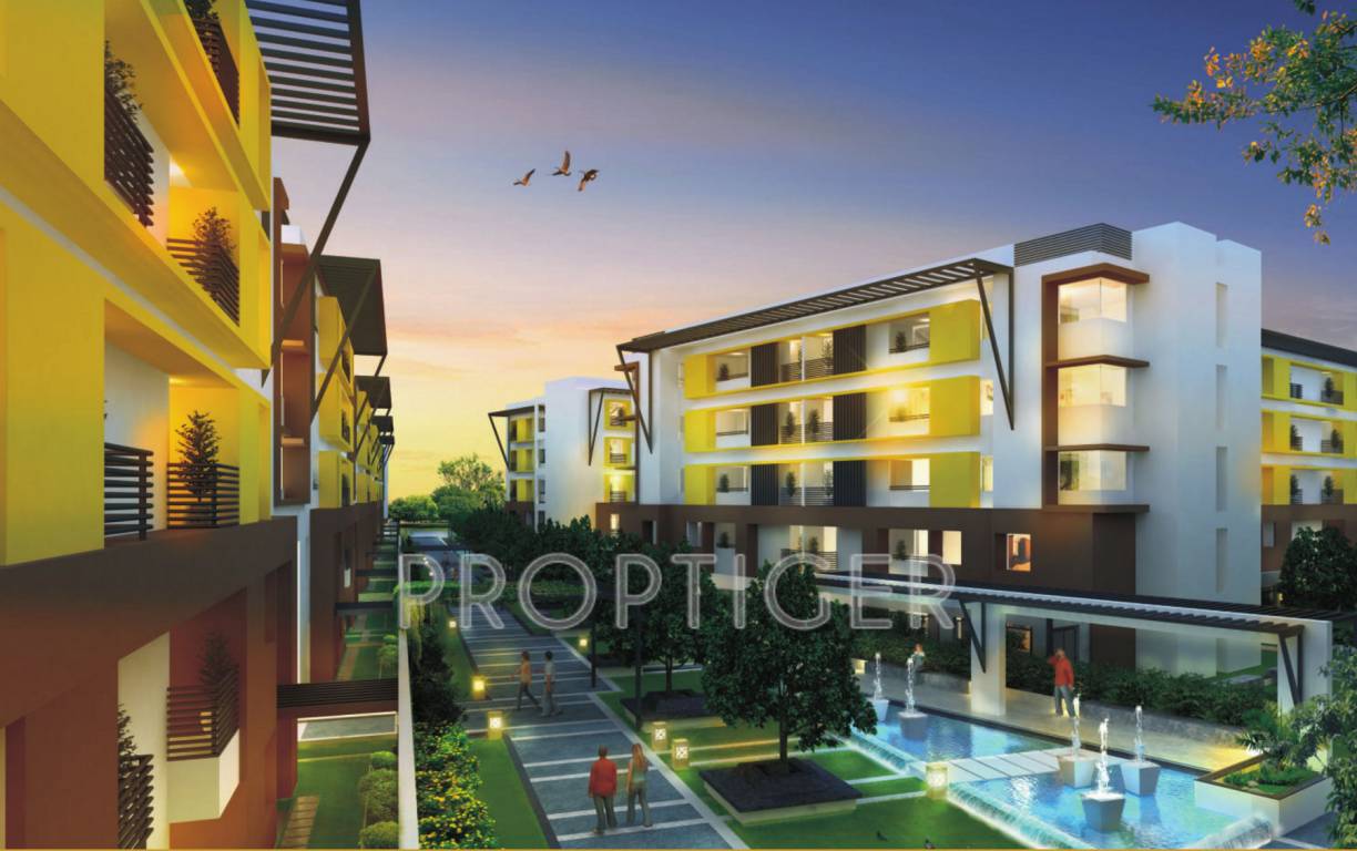  elegance Images for Elevation of Zonasha Elegance