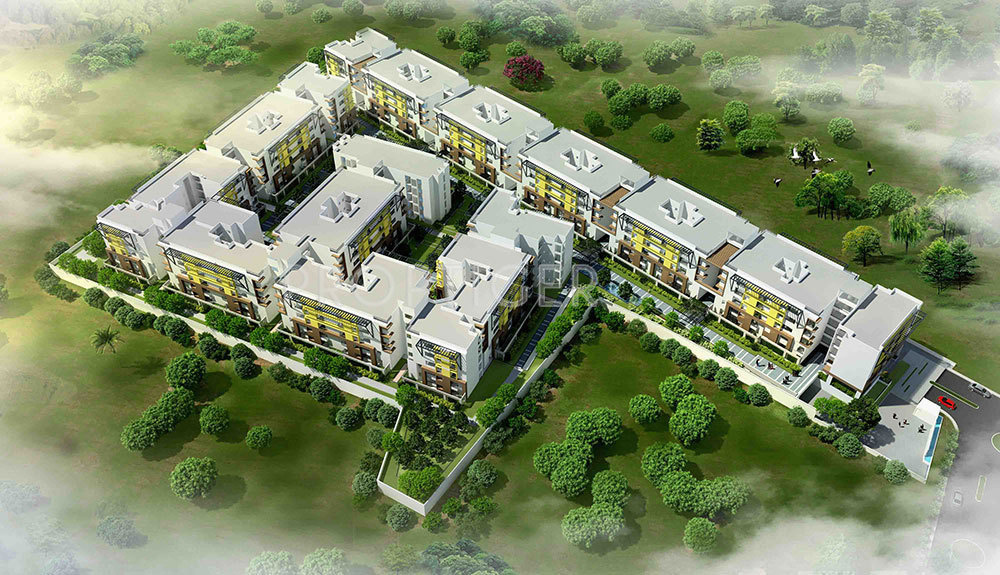  elegance Images for Elevation of Zonasha Elegance