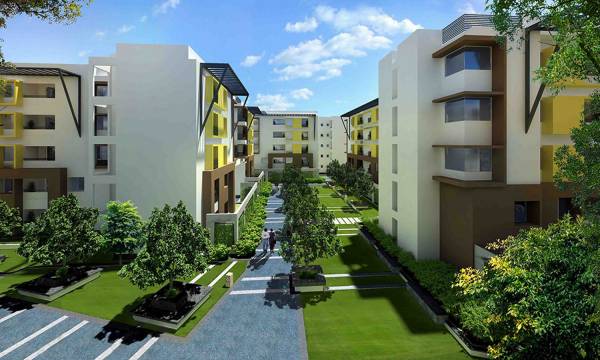  elegance Images for Elevation of Zonasha Elegance