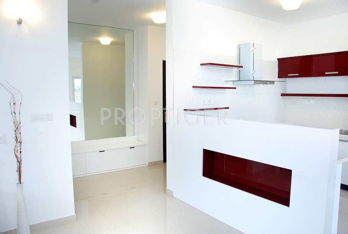  elegance Images for Main Other of Zonasha Elegance