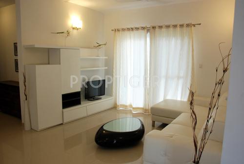  elegance Images for Main Other of Zonasha Elegance