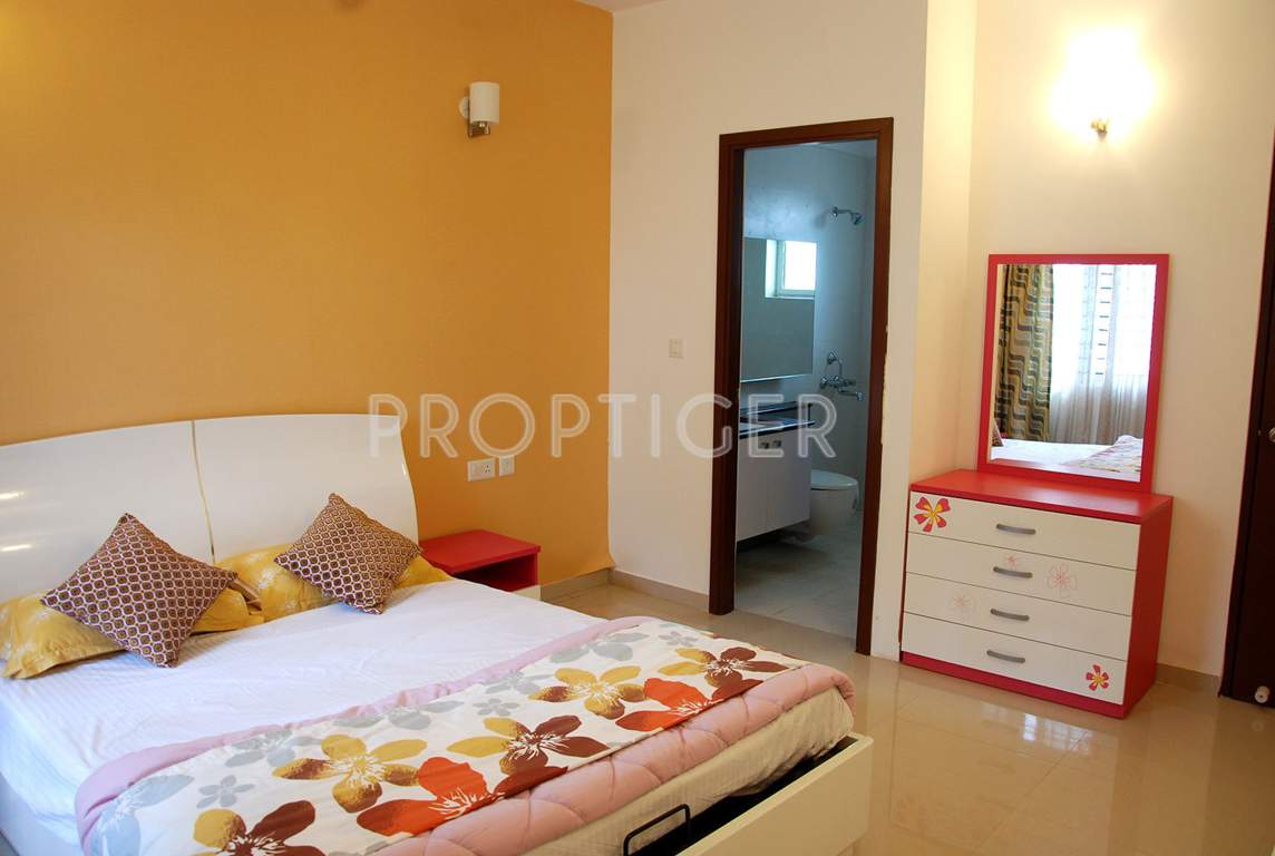  elegance Images for Main Other of Zonasha Elegance