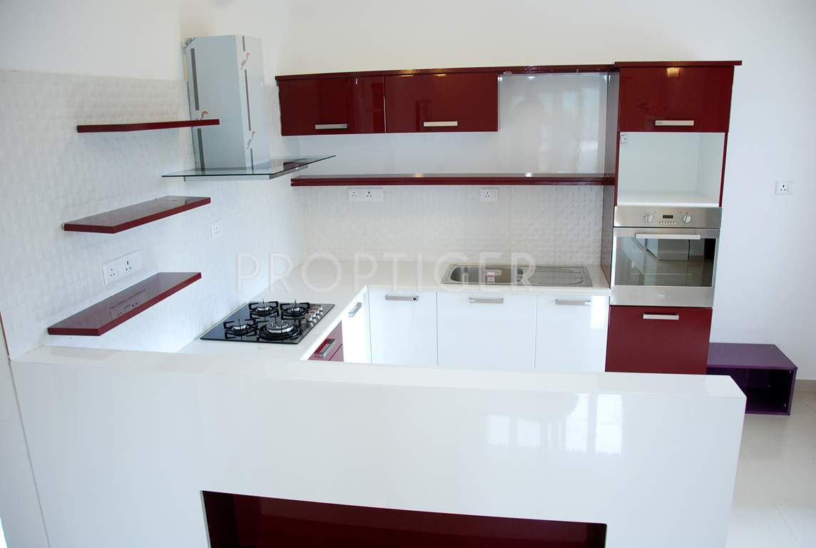  elegance Images for Main Other of Zonasha Elegance