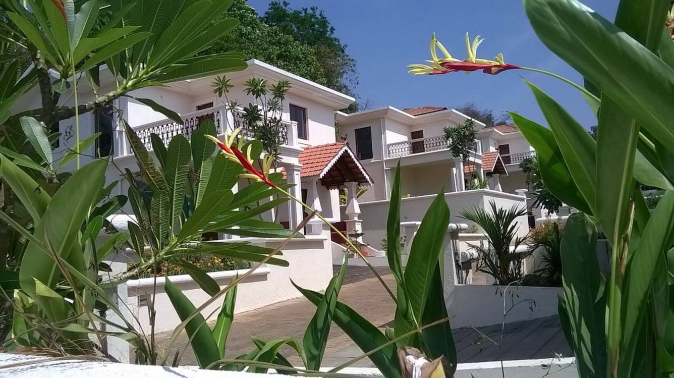 Images for Elevation of Pinto Square