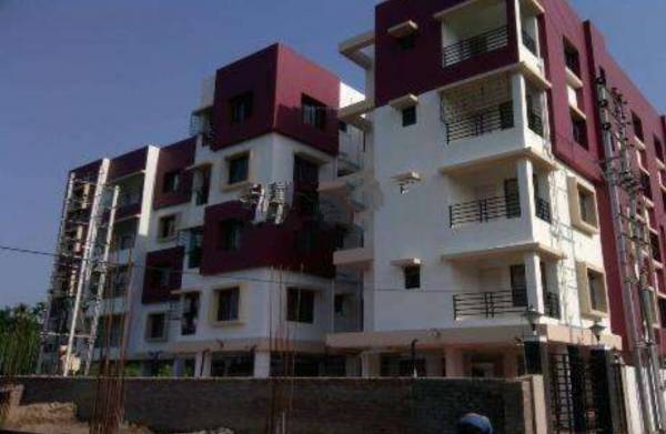 Elevation sunny-divine Elevation